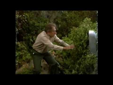 GH 08-16-82 Full Episode - Part 2