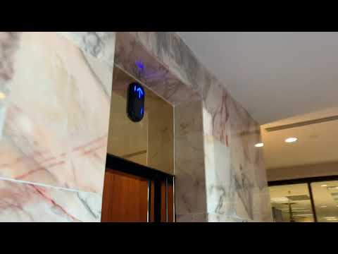 Otis Traction Elevators @ The Spector Building-Sarasota FL