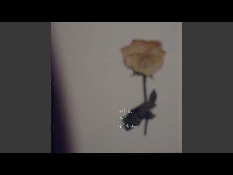 Will You Be My Valentine