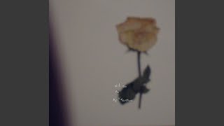 Will You Be My Valentine