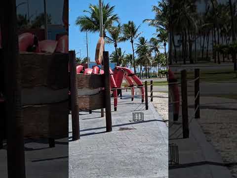 Caranguejo 🦀  monumento da Orla de Atalaia Aracaju Sergipe.