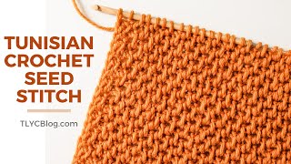 HOW TO - Tunisian Crochet Seed Stitch for Beginners