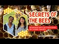 Interview With NatGeo Secrets Of The Bees Entomologist Dr Sammy Ramsey