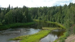 Река золотица архангельская область рыбалка