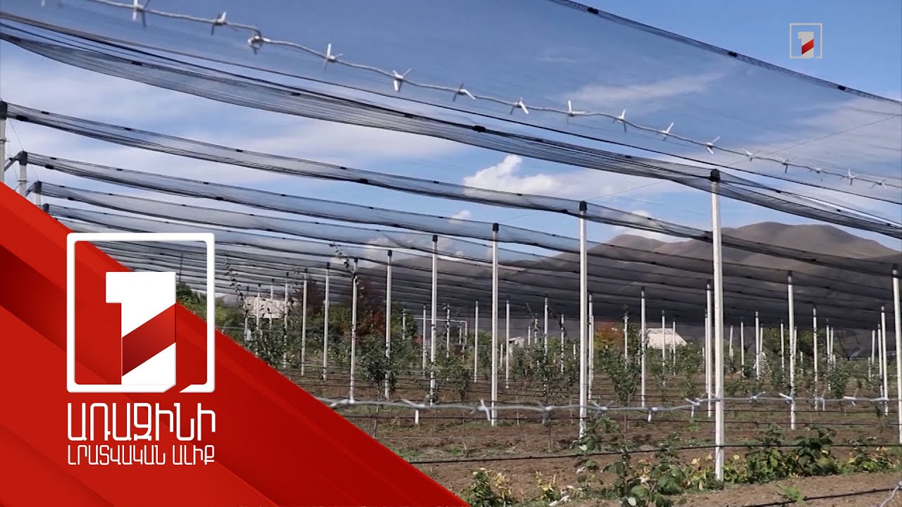 412 միլիոն դրամի վնաս. խարդախություններ ինտենսիվ այգիների հիմնման պետաջակցության ծրագրում