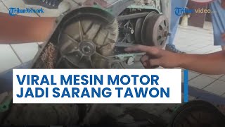 Tak Pernah Servis Motor, Mesin Motor Wanita ini Jadi Sarang Tawon