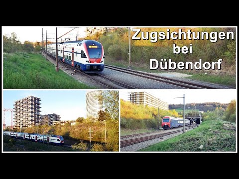 Zugsichtungen bei Dübendorf / Ein und Ausfahrt Bahnhof Stettbach, Kanton Zürich, Schweiz 2021