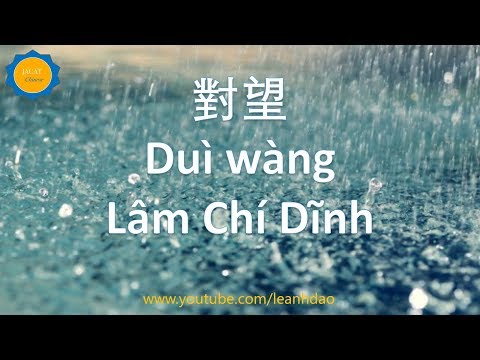 Nhìn nhau / Hướng về nhau - Lâm Chí Dĩnh - Pinyin, Karaoke, Vietsub