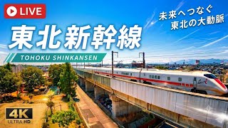 🚄東北新幹線 郡山 LIVE🔴REC ライブカメラ 鉄道 MAX320km/h Shinkansen TOHOKU🗾Japan disney live webcam