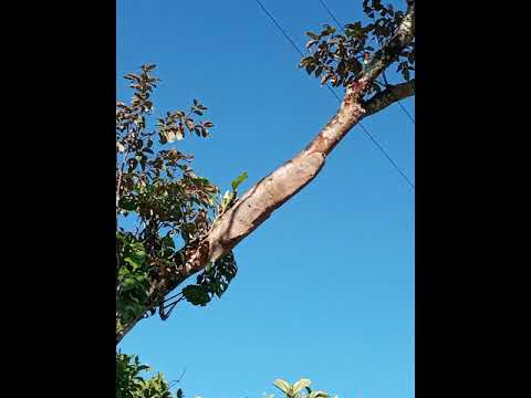 Los F🙋🏻‍♀️M🤷🏻‍♀️J🙋🏻‍♂️K🙎🏻‍♀️