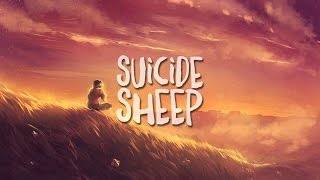 Oskar Schuster - Wunder