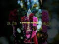 Morning Vibes Murugan Songs Whatsapp Status Tamil Status Sanctuary