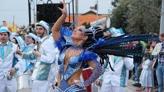 preview picture of video 'Amigos da Tijuca - Carnaval da Mealhada 2014 - Desfile Domingo 09/03/2014'