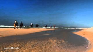 Lissie - Don&#39;t You Give Up On Me