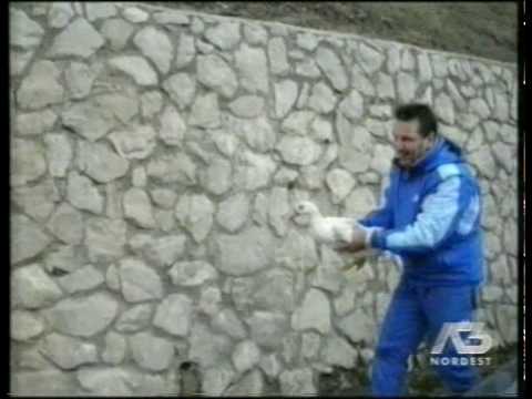 Il mal di schiena con esercizi addominali Dolore al collo per Psicosomatica