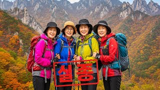 Download lagu 2005년 가을, 설악산에서 사라진 동호회 여성 4명 집단 실종사건... 5년 뒤 밝혀진 충격적 진실 mp3