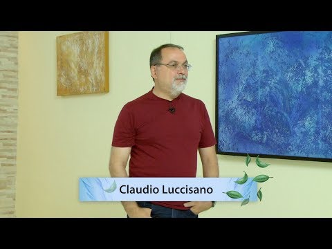 Palestra na Fraternidade 354 - Viver em Sociedade - Claudio Luccisano