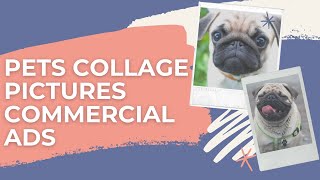 Pets Collage Pictures Commercial Ads