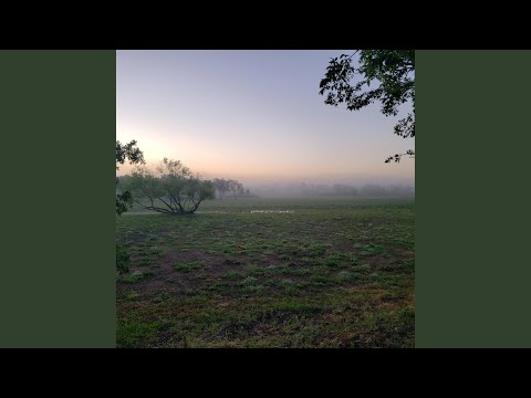 I Will Wait For You In Austin - David Thibadeau