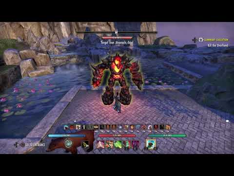 Stamina Warden 103k+ (2H/DW) - Markarth - bhnunes