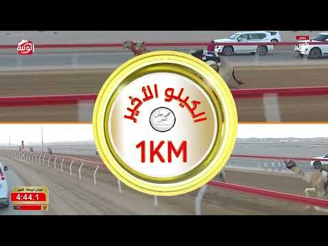 ش 2 (شاهين) لـ محمد علي بن حميدي المنصوري 6:07:48 ، مهرجان العين 2026/09/14 لقايا الروضة