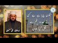 Zulfiqar Ali Hussaini Naat with lyrics | Sukoon paya hai bekasi ne | سکون پایا ہے بے کسی | مع شاعر
