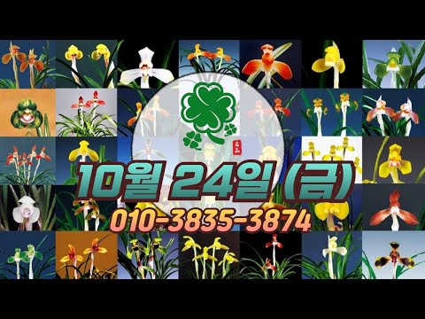유튜브 썸네일