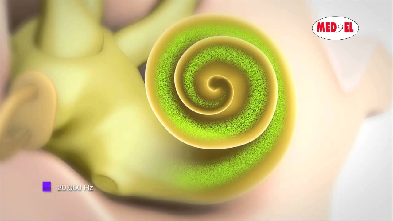 Alberto Caire Y González Jáuregui-6