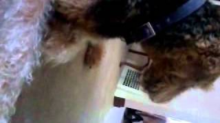 Maxwell is gettin old