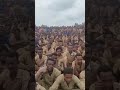 አስደናቂው የአማራ ልዩ ሀይል Ethio 24 Media