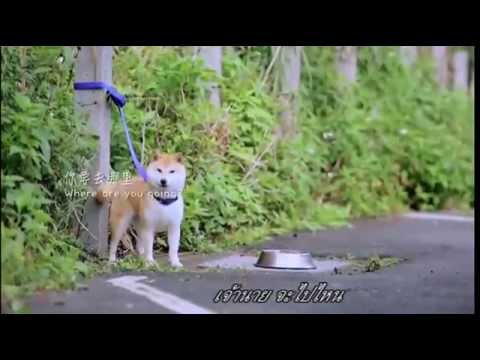 จุดบนผิวหนังกลาก วางสังกะสี salitsilovo- ของโรคสะเก็ดเงิน