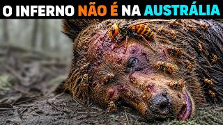 🚨 O Japão que VOCÊ NÃO CONHECE é BRUTAL