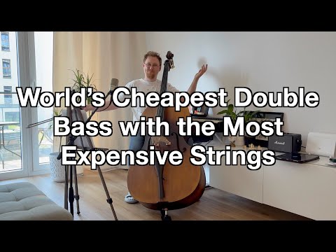 Review of the Double Bass Thomann 111VN / Artino SN-180 / Thomastik Spirocore Light (Weich)