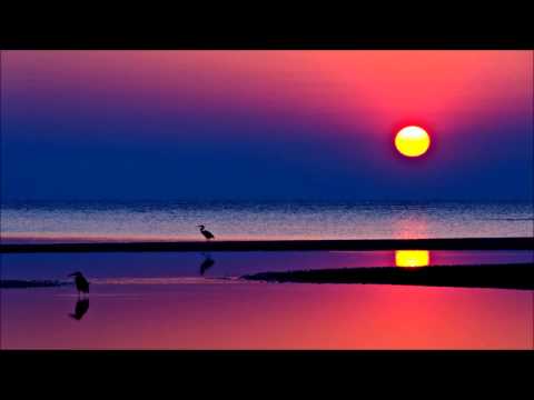 David Duque feat. Emanuel - La Otra Puerta (Nikko.Z Remix)