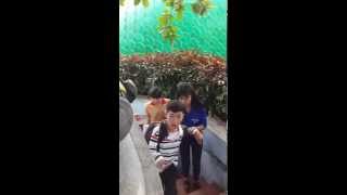 DĐ TRÁI TIM HỒNG