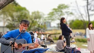 渡良瀬橋／森高千里【アコギ弾き語りカバー】　at 名城公園＆元浜公園