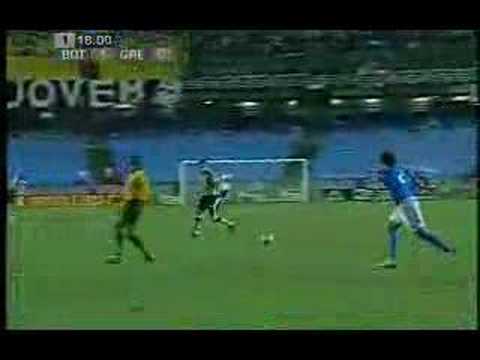 Botafogo 1-0 Grêmio Juninho
