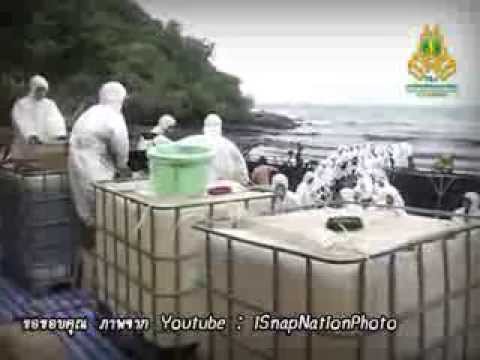การสะกดจิตการรักษาความอ่อนแอทางด้านจิตใจ สมาชิกที่เล็กที่สุดของกองทัพ
