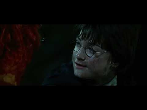 Fumseck - Harry Potter 2 et la Chambre des secrets