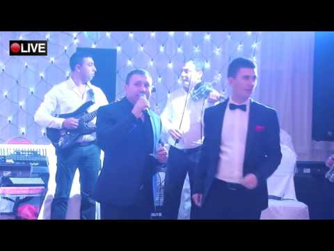 Cornel Cojocaru - Revelionul muzicantilor Tg. Jiu 2016 LIVE