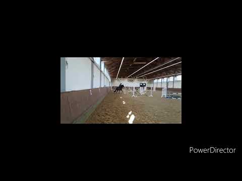 Projekt 10-26_HD 720p_MEDIUM_FR30.m4v