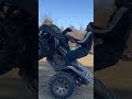Brute Force 750 wheelie