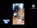Little Bill The Barber Shop Tantrum 2004 Banned Episode