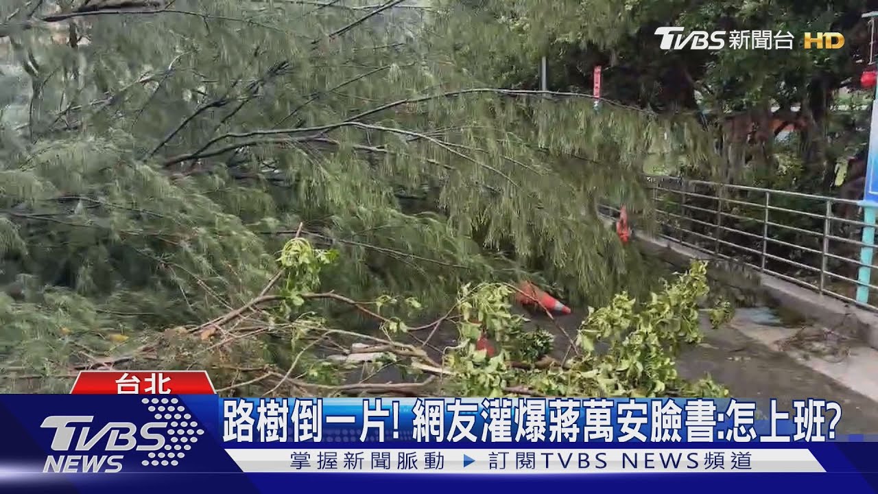 路樹倒一片!網友灌爆蔣萬安臉書:怎上班?
