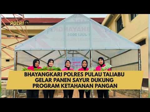 BHAYANGKARI POLRES PULAU TALIABU GELAR PANEN SAYUR DUKUNG PROGRAM KETAHANAN PANGAN
