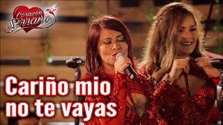 Cariño Mio No Te Vayas Lyrics English Translation