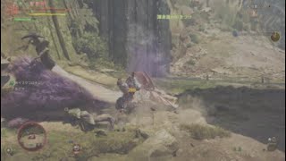 闘技大会　チャレンジクエスト　タマミツネ　ハンマー　ソロ　【MHWilds:ワイルズ】