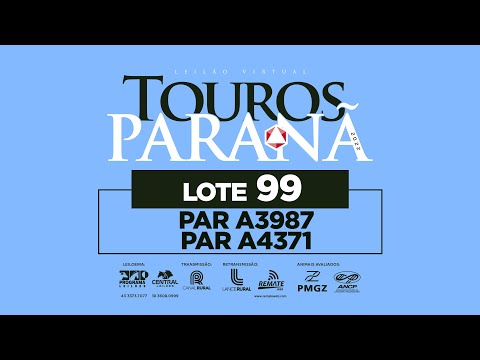 LOTE 99 PAR A4371 PAR A3987