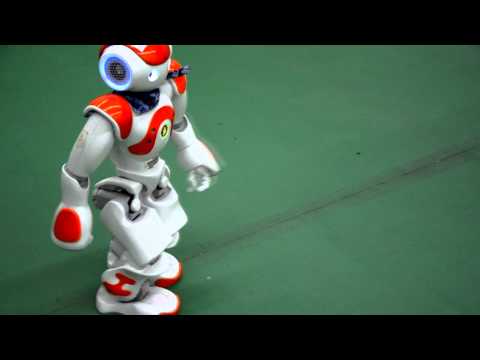 Rimal Team qualification video for SPL RoboCup 2014