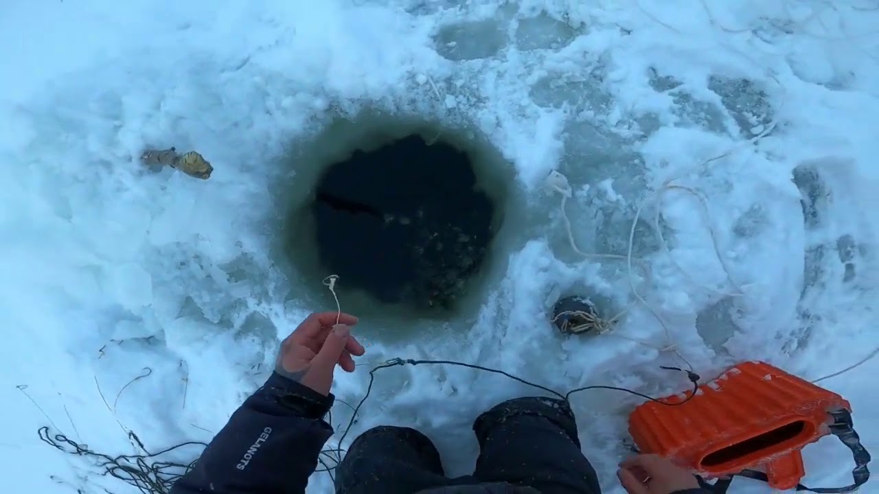 Зимний перемет. Перемет рыболовный. Самоловы для зимней рыбалки. Ловля налима на перемет. Перемет зимой.